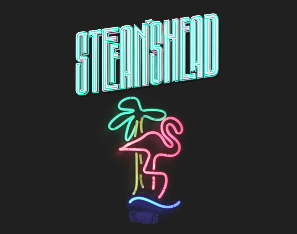 Stefan's Head - Logo - Crew Detective Collection