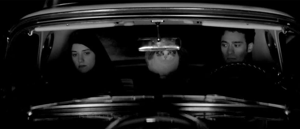 Stefan's Head - At The Movies With Stefan - A Girl Walks Home Alone At Night Trailer